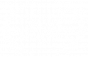 New York International Film Awards