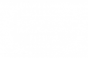 South Film and Arts Academy Festival